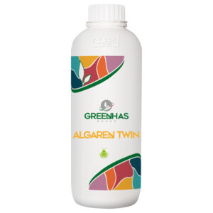 algaren twin 1