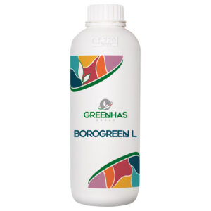 borogreen 1