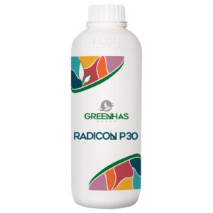 radicon p30 1 1